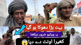 itna Bara dhokha ho Gaya  250k kheera camel le liya ab Kya Karen  Qurbani 2024  Lahore Mandi