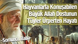 Aynı Anda 3 Farklı Yerde Olabilen Büyük Evliyanın Sır Dolu Hayatı - Somuncu Baba