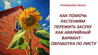 Когда полезна обработка по листу? Как аварийный вариант №59324