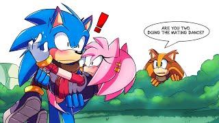 Busted - Sonic x Amy Sonamy Comic Dub Compilation