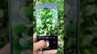 #vivo Y28 5G camera test High quality camera review best camera #smartphone 2024