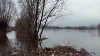 разлив реки Кадада в деревне Нижняя Елюзань