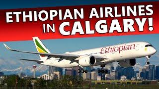 RARE VISITOR Ethiopian Airlines A350-900 at Calgary Airport