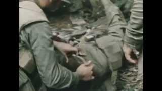 La Ofensiva del Tet. 6 - NAM la guerra de los 10.000 días. Guerra de Vietnam.