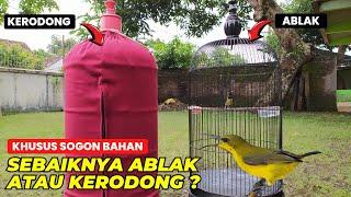 SOGON BAHAN SEBAIKNYA DI KERODONG ATAU FULL ABLAKMANA YANG LEBIH BAGUS