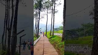 Negeri di Atas Awan AOne #shorts #shortfeed #shortvideo #gunung #jalanjalan #wisata