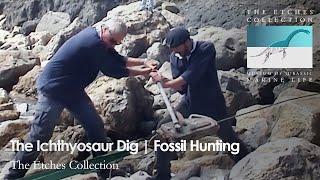 The Ichthyosaur Dig  Fossil Hunting