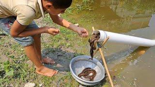 Believe This Fishing । Unique Eels Fish Trapping System Make From PVC । NewTechnique Of Amazing Boy।