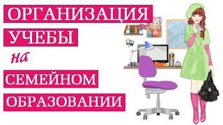 Организация учебного процесса на семейном образовании. Как это делаем мы. Учеба дома. Наш опыт