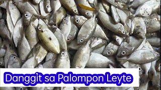 Palompon Leyte Maraming Danggit #danggit #dagat #palompon #leyte