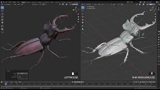 Blender 2 81 Rigging of an insect