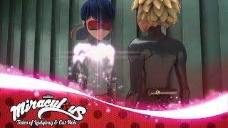 MIRACULOUS   DARK OWL   Tales of Ladybug and Cat Noir