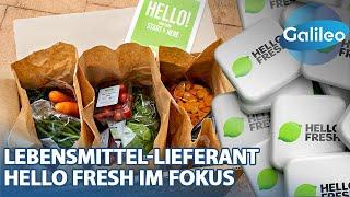 Ein Blick hinter die Kulissen des Lebensmittel-Lieferanten & Weltmarktführers Hello Fresh