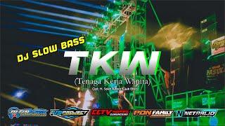 Dj TKW  Tenaga Kerja Wanita  Alfinvrsk with 49 Project  Dj Slow Bass.