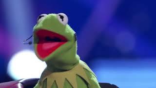 Kermit The Frog on the masked singer Singing You Make My Dreams Come True.