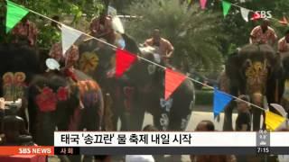 화려하게 꾸민 코끼리들…태국 물 축제 송끄란  SBS