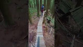 This Trail is a Rollercoaster Ride