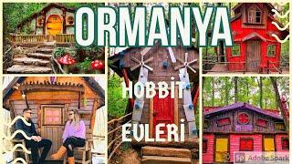 ORMANYA  kocaeli hobbit evleri