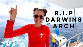 RIP Darwins Arch + Hammerheads GALORE Part 6