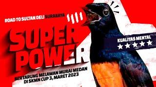 TES MENTAL LAWAN MURAI MEDAN SUPERPOWER Kok Dilawan Di SKMN CUP 3