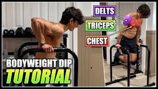 How to do the BODYWEIGHT DIP  2 Minute Tutorial