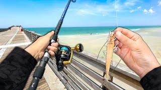 Fishing the PIER Eating Whatever I Catch.. Catch and Cook