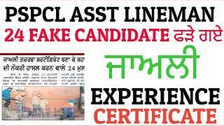 PSPCL Asst Lineman Fake Exp. Certificate  ਪੁਲਿਸ ਦੇ ਹੱਥੇ ਚੜ੍ਹੇ 24 Fake candidate  ਗਿਰਫ਼ਤਾਰ