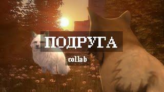 ПОДРУГА - collab Wild Craft