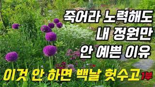 죽어라 노력해도 내 정원만 안 예쁜이유 1부 이 것 안하면 백날 헛수고 정원관리꿀팁