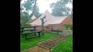 Camping dikelilingi Kebun Kopi di Banaran Coffee Camp