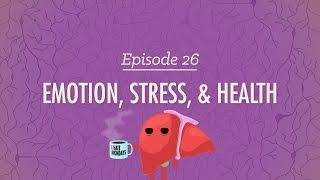 Emotion Stress and Health Crash Course Psychology #26