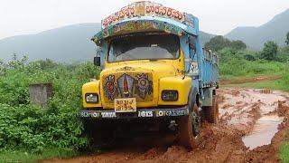 Ashok Leyland Truck Struggling in Mud at Forest - Truck Stuck in Mud