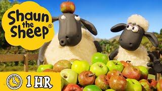 Shaun the Sheep Season 4  All Episodes 21-30  Role Play & The Crazy Goat  Cartoons for Kids
