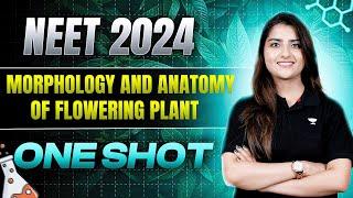 Morphology and Anatomy of Flowering Plants  One Shot  NEET 2024  Seep Pahuja