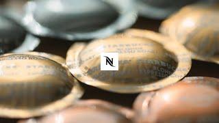 네스프레소Nespresso NEW 스타벅스 by 네스프레소 프로페셔널 15”  KR