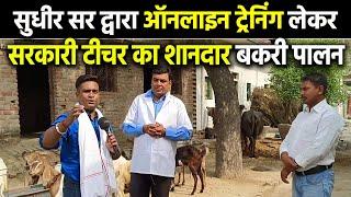 Online Goat Farming Training  सुधीर सर से लेकर 3 साल पहले शुरू किया था सरकारी शिक्षक ने बकरी पालन