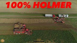 100% HOLMER ERNTEMASCHINEN Rübenernte mit einem 12 Reihen Rübenroder Zuckerrübenernte für Anklam