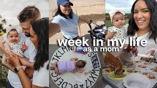 week in my life as a mom  honey ran away prepping for family pictures dealing w dog anxiety