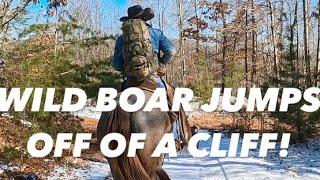 Wild Boar Hunting in Tennessee Episode #5