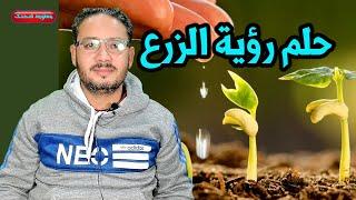 حلم رؤية الزرع وشتلات الزرع ورؤية نبات الزينة ورى الزرع بالماء وحصد الزرع ورؤية الزرع الاخضر 