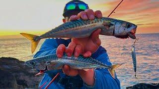 HOW TO CATCH MACKEREL - Using Feathers and Jigging metals - Sea Fishing UK
