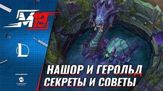 Нашор и Герольд – Секреты и Советы  Лига Легенд