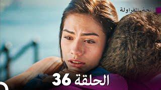 رائحة الفراولة الحلقة 36 Arabic Dubbed - FULL HD