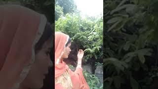 new Mewati video 2019 alag Hatke 7k