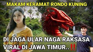 Gempar..‼️Makam Keramat Rondo Kuning Di Jaga Ular Naga Raksasa Viral Di Jawa Timur