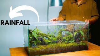 i made a forest style terrarium with a rainfall and mist  rainfall terrarium