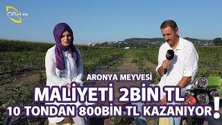 Süper Meyve Aronya 10 Tondan 800 bin kazanıyor - Toprak Bacı