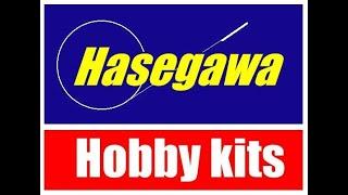 Hasegawa models a very brief history