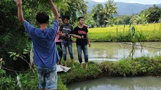 Curi ikan di Kolam Orang bersama Teman teman