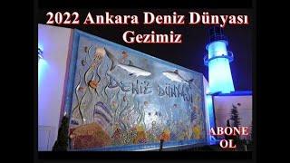 Keçiören Deniz Dünyası  Ankara Keçiören Deniz Dünyası #denizdünyası #ankaradenizdünyası #keciören